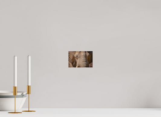 6 x 4″, Photo Print Under Acrylic Glass Ellie All Ears