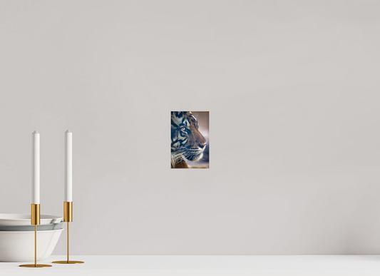 4 x 6″, Photo Print Under Acrylic Glass No Introduction Needed