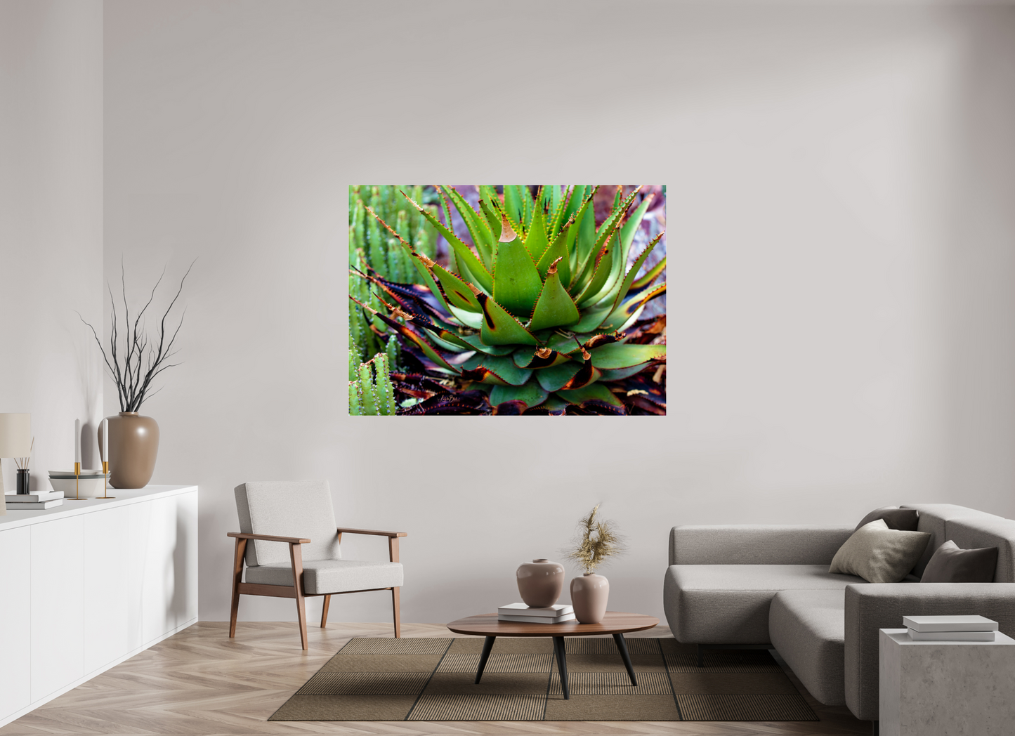 64.7 x 47″, Photo Print Under Acrylic Glass Cacti VI.2
