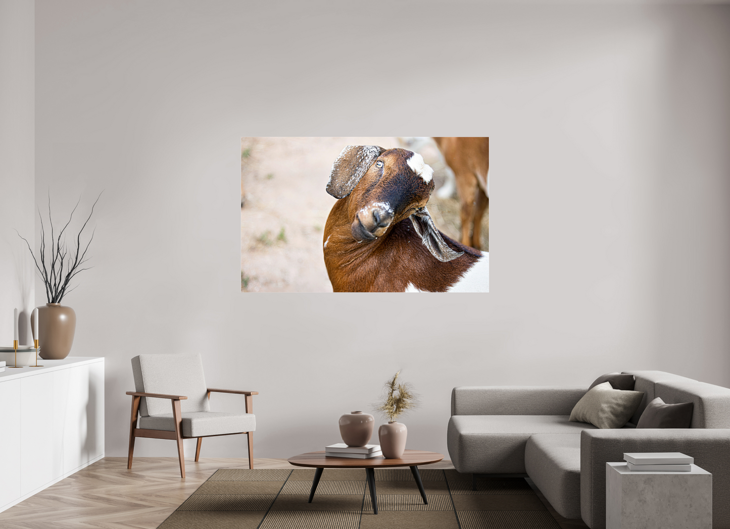 68.5 x 43″, Photo Print Under Acrylic Glass Goat Cheeeese