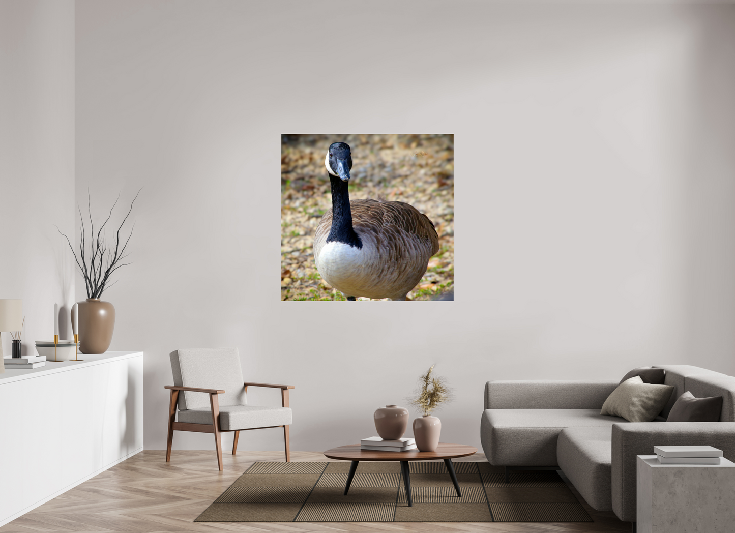 48.5 x 47″, Photo Print Under Acrylic Glass Lake Rim Goose