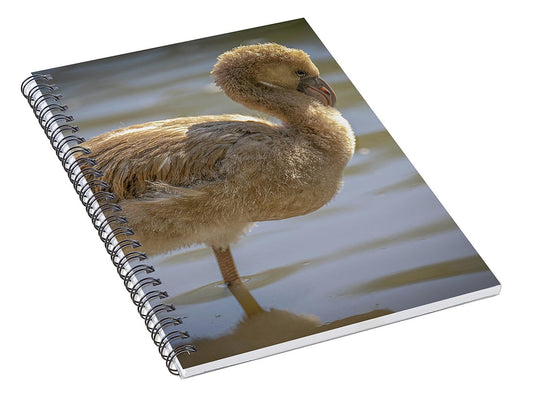 Baby Flamingo - Spiral Notebook