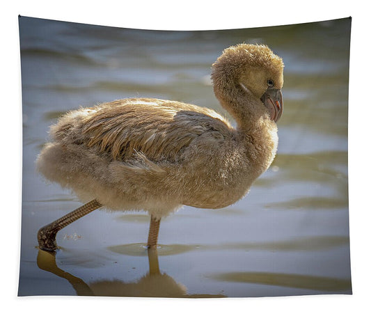 Baby Flamingo - Tapestry