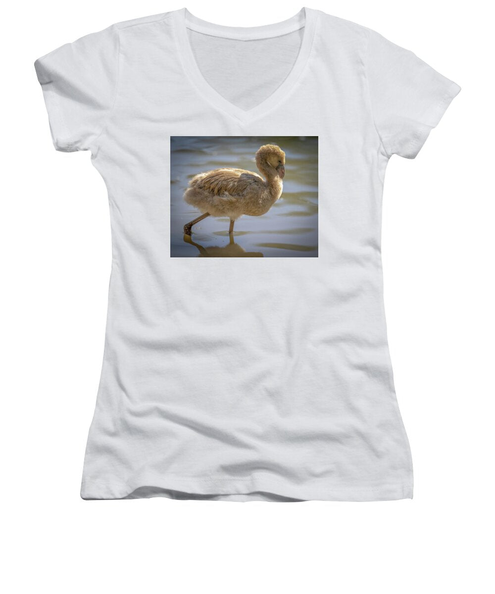 Baby Flamingo - Women's V-Neck