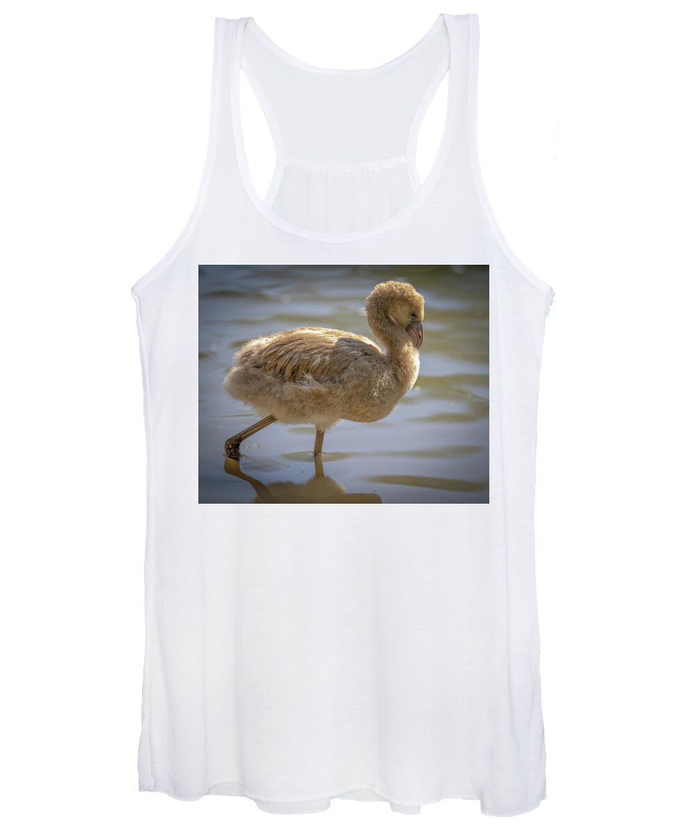 Baby Flamingo - Women's Tank Top
