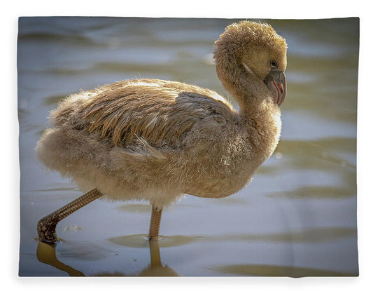 Baby Flamingo - Blanket