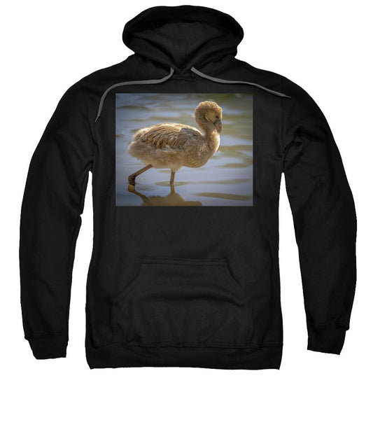 Baby Flamingo - Sweatshirt