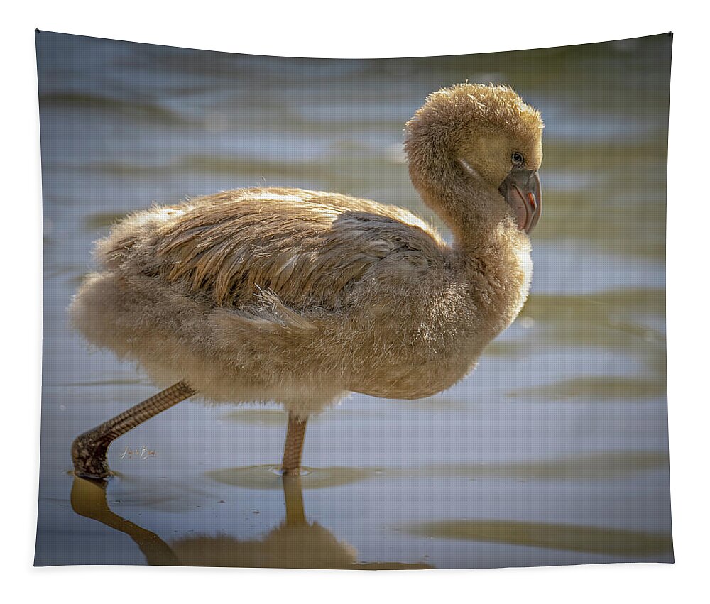 Baby Flamingo - Tapestry
