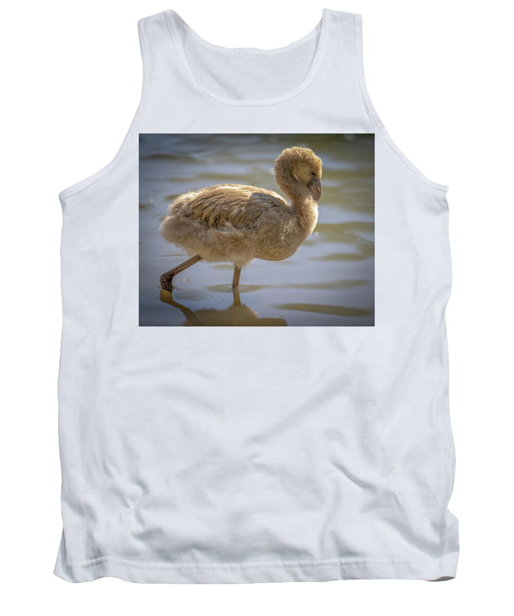 Baby Flamingo - Tank Top