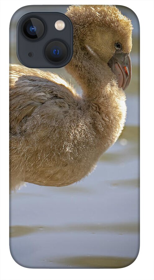 Baby Flamingo - Phone Case