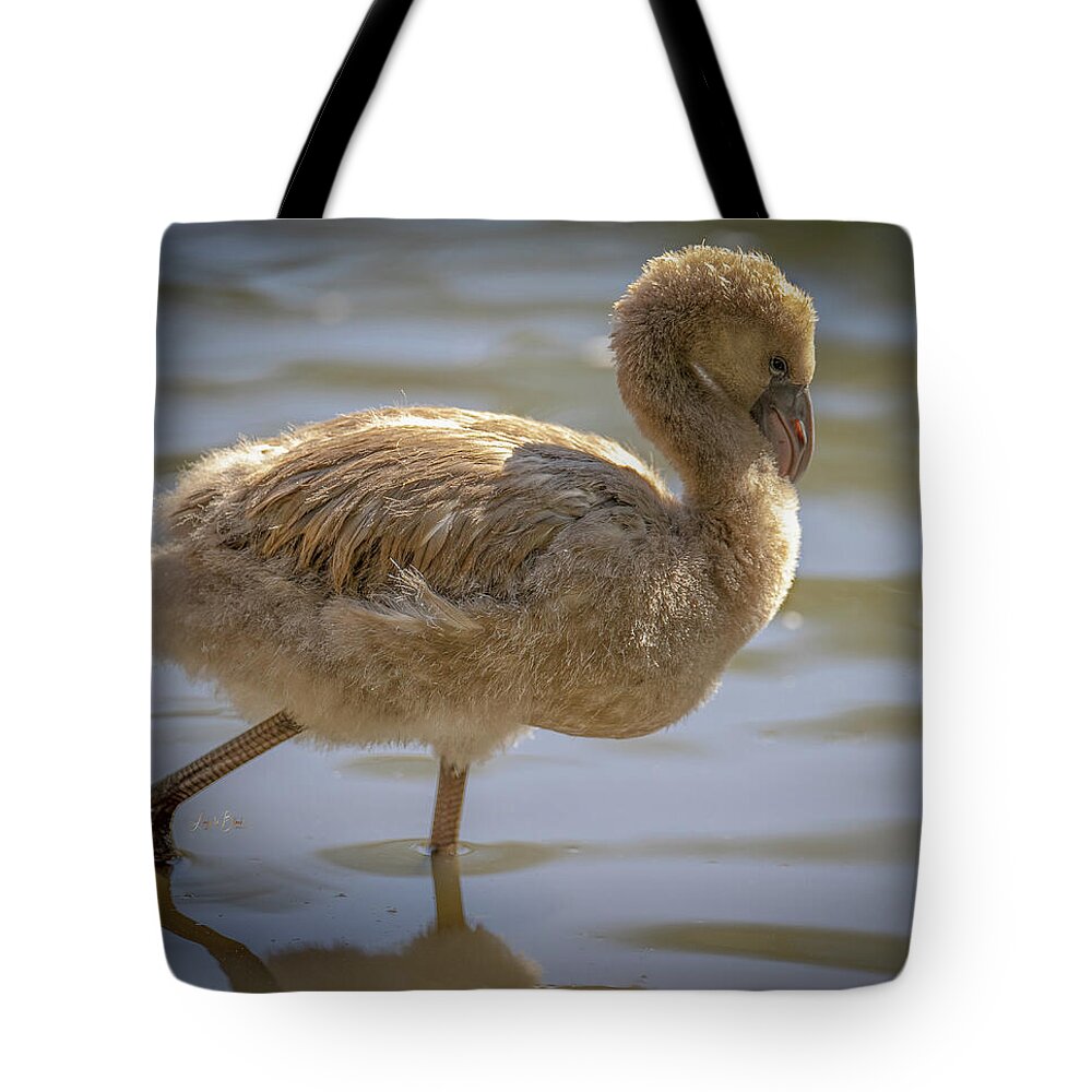Baby Flamingo - Tote Bag