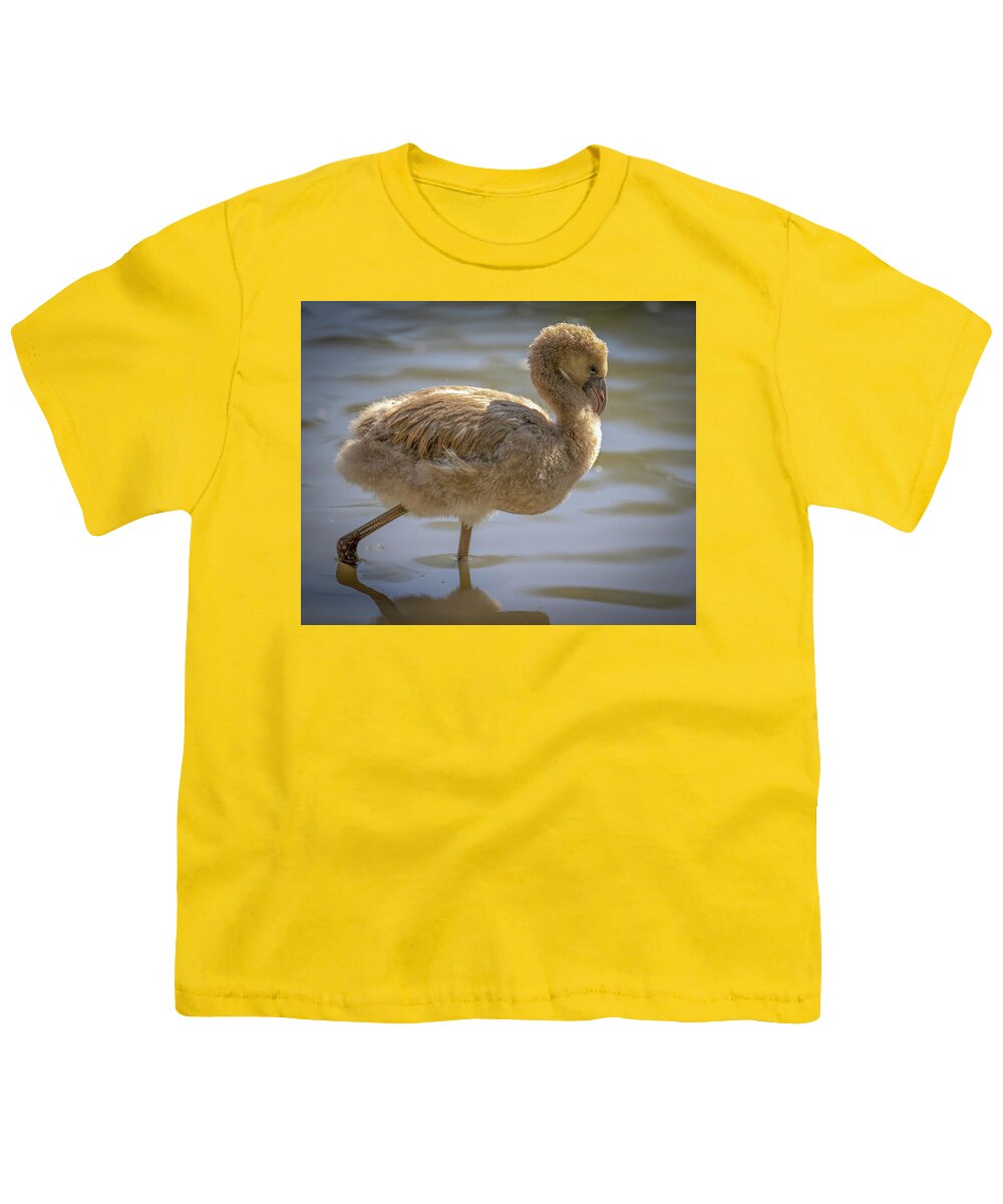 Baby Flamingo - Youth T-Shirt
