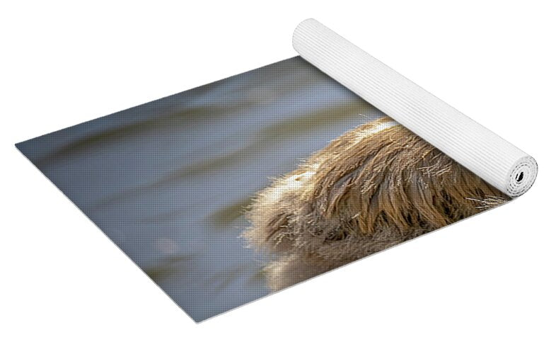 Baby Flamingo - Yoga Mat