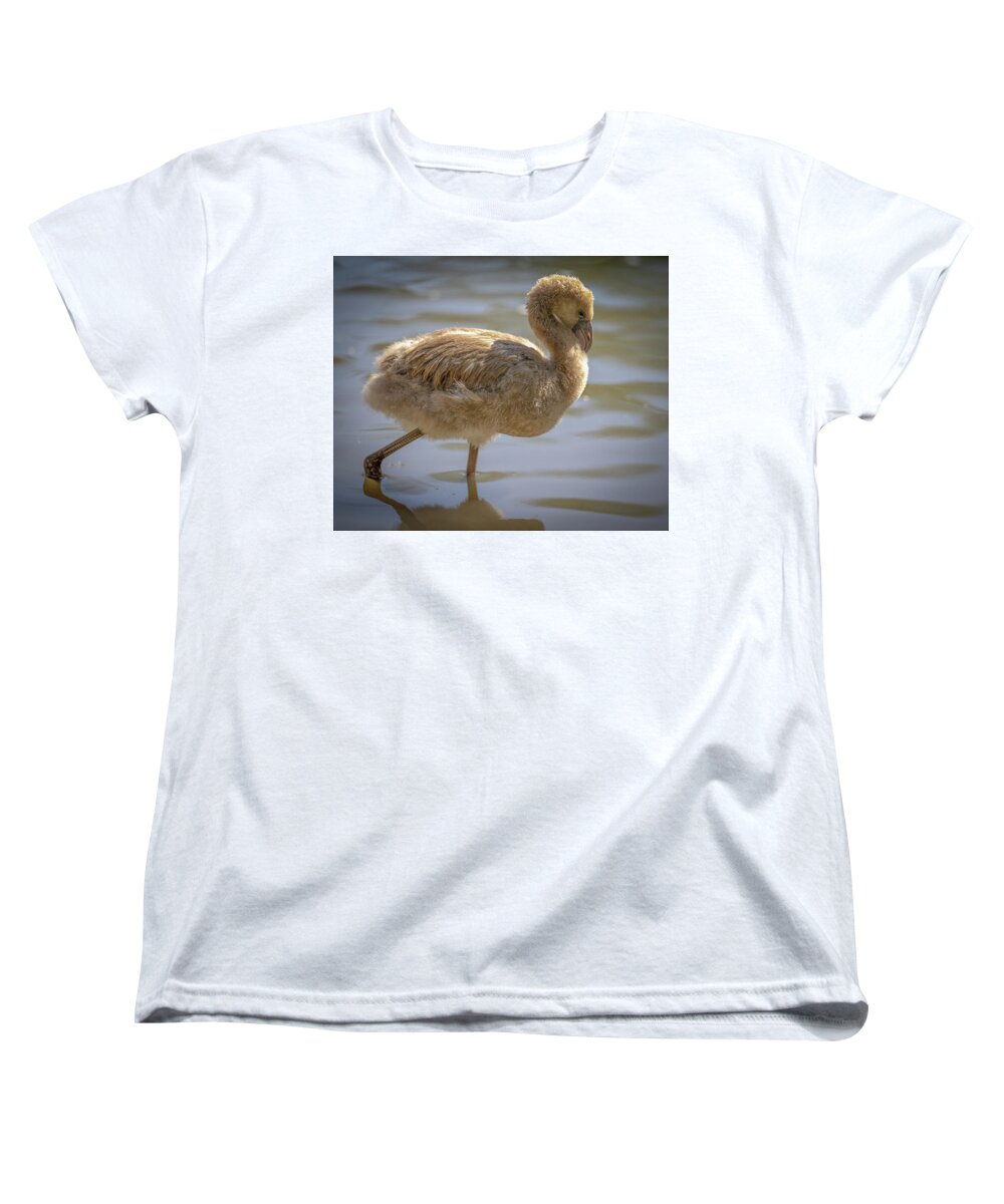 Baby Flamingo - Women's T-Shirt (Standard Fit)