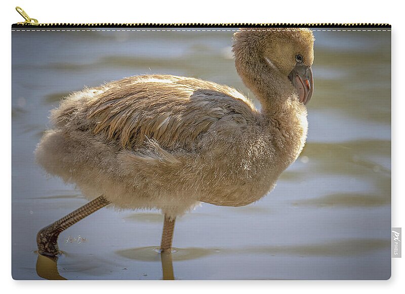 Baby Flamingo - Zip Pouch