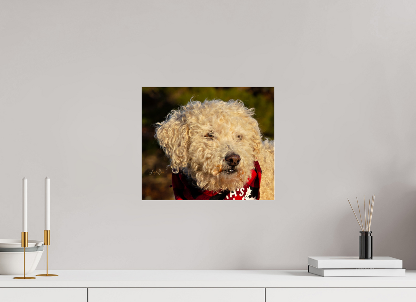 14.1 x 12″, Photo Print Under Acrylic Glass Fufu