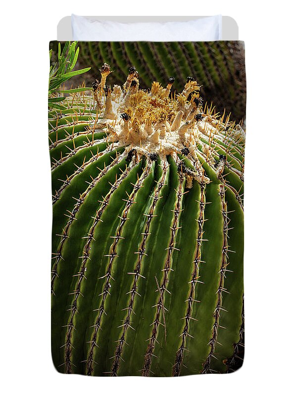 Cacti Closeup - Duvet Cover