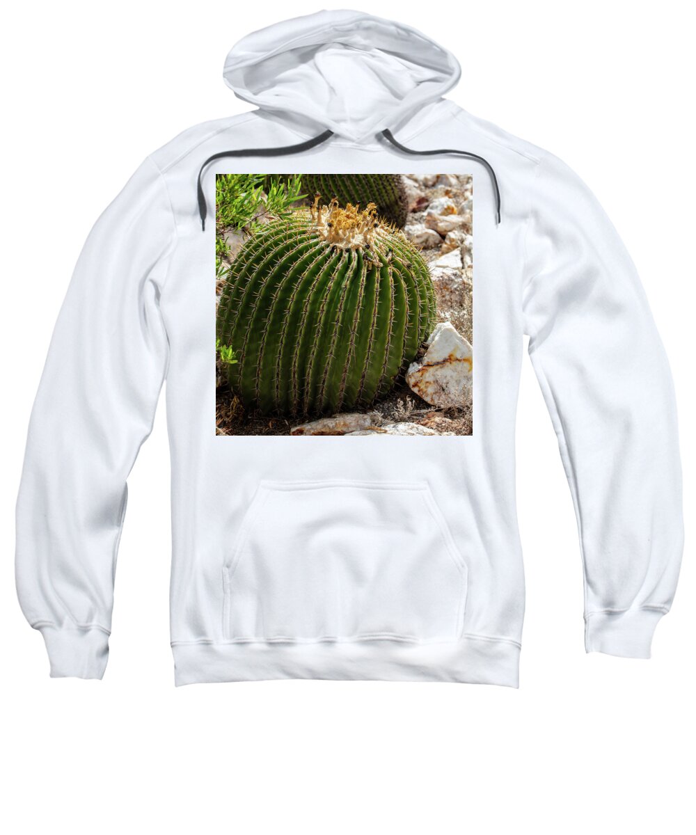 Cacti Closeup - Sweatshirt