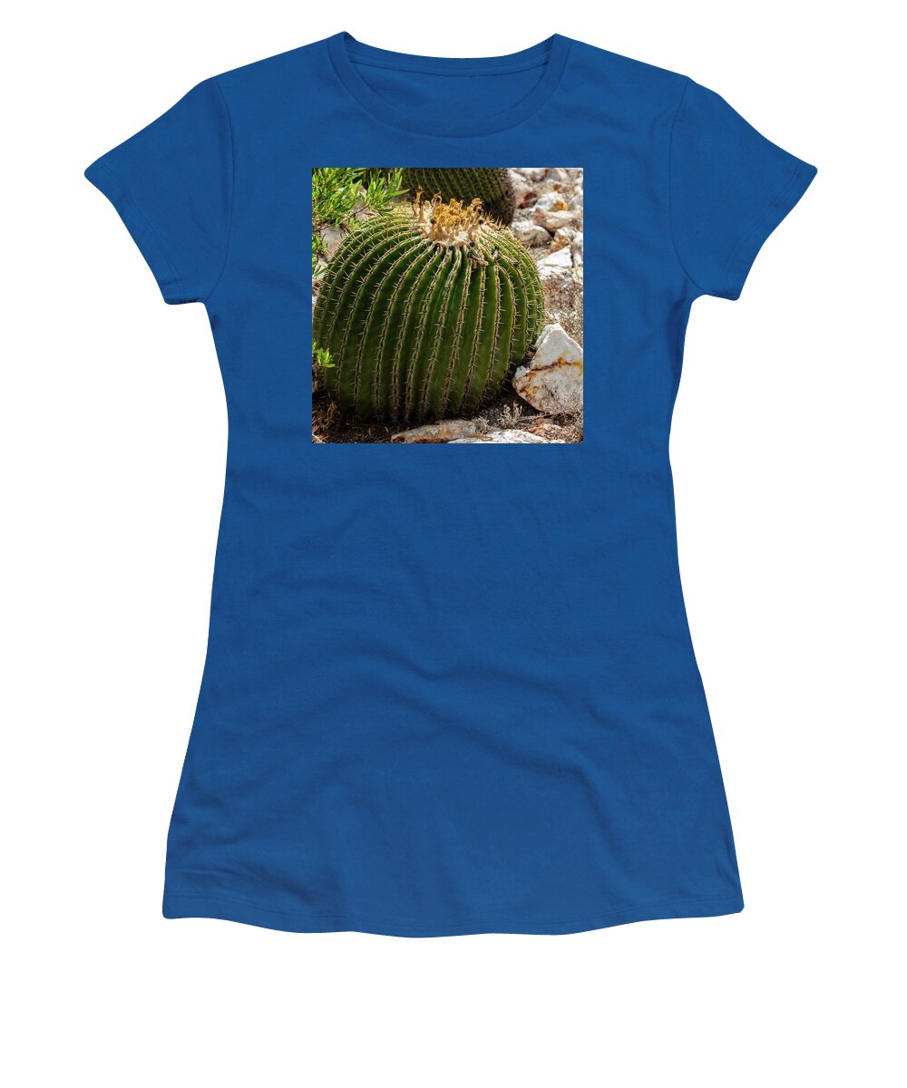 Cacti Closeup - Women's T-Shirt