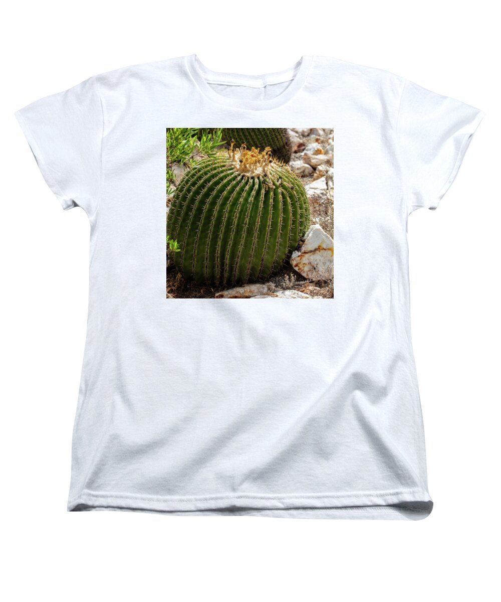 Cacti Closeup - Women's T-Shirt (Standard Fit)