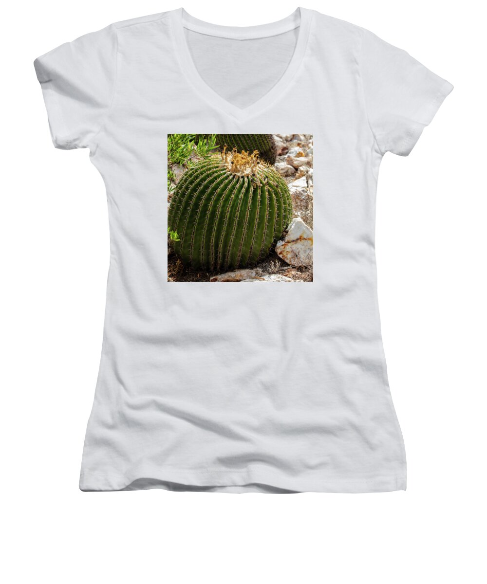 Cacti Closeup - Women's V-Neck