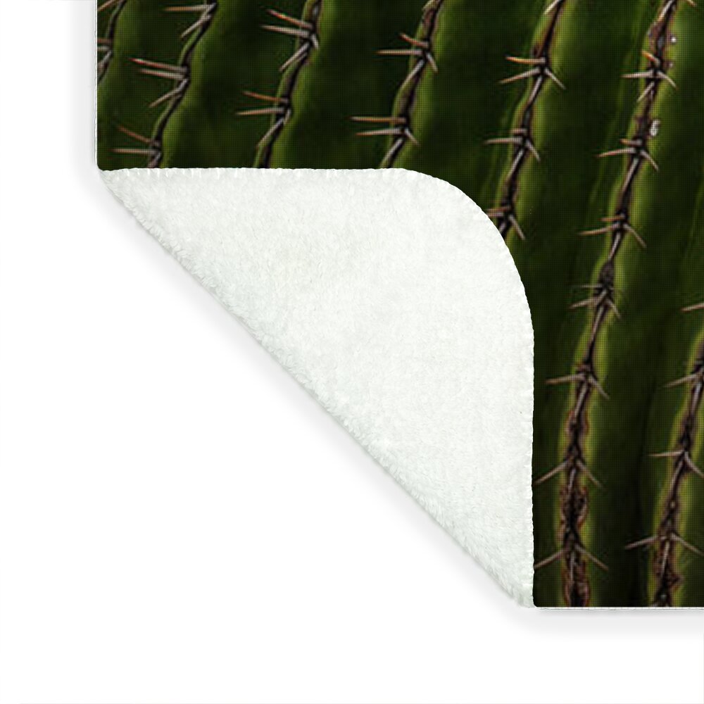 Cacti Closeup - Blanket