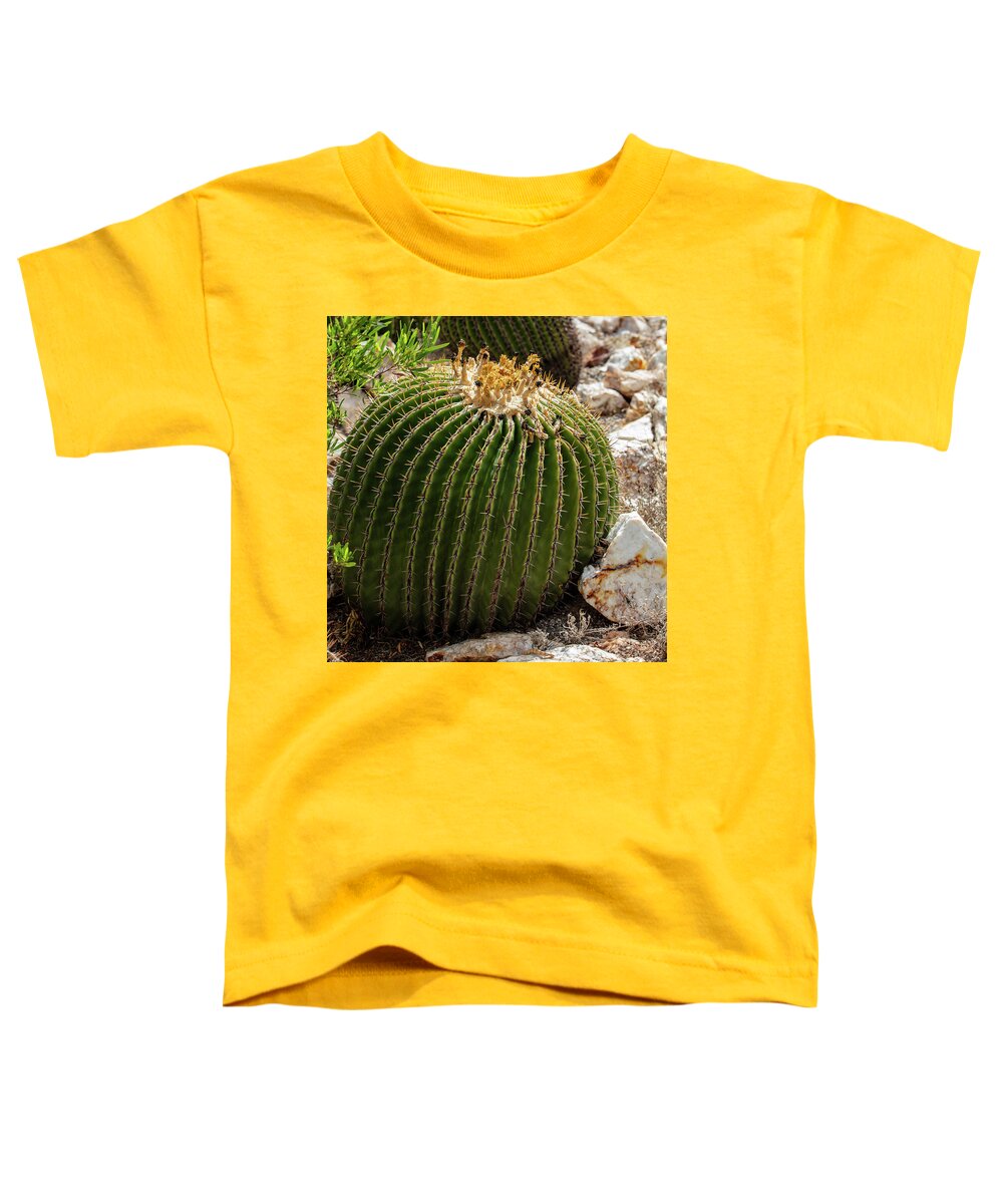 Cacti Closeup - Toddler T-Shirt
