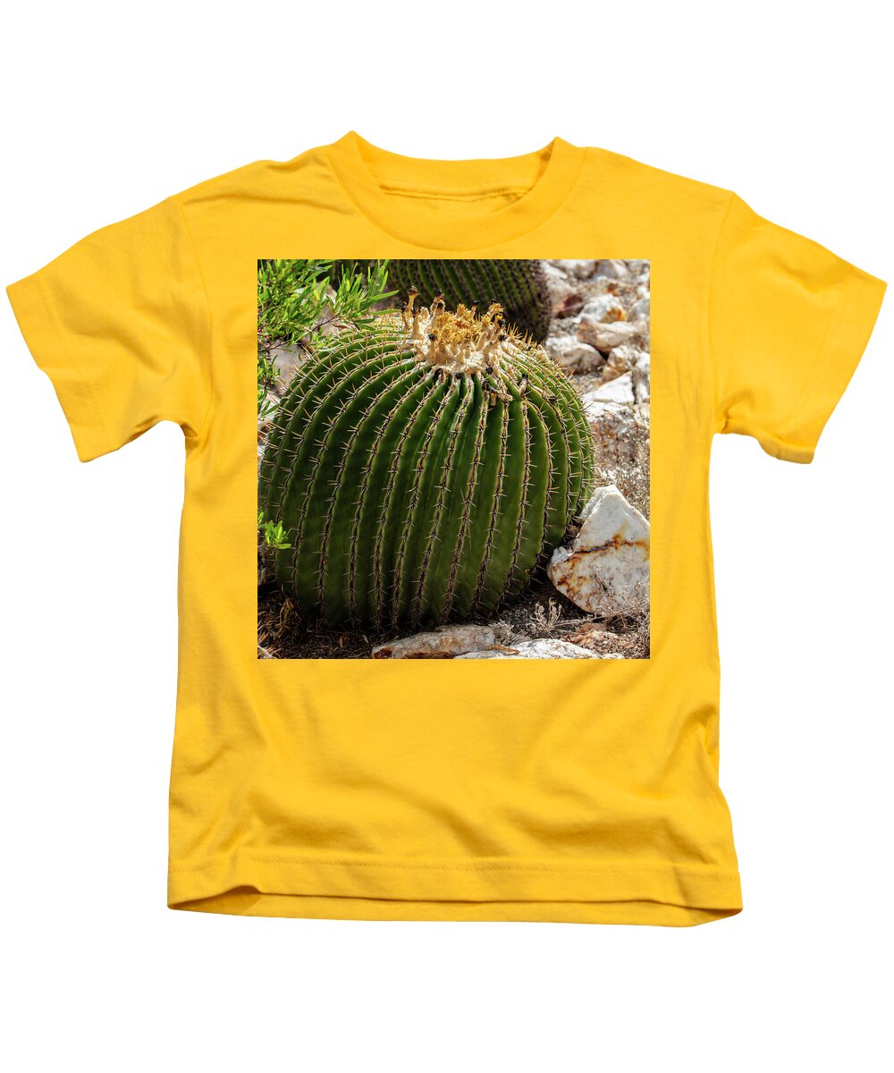 Cacti Closeup - Kids T-Shirt