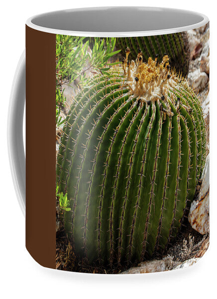 Cacti Closeup - Mug