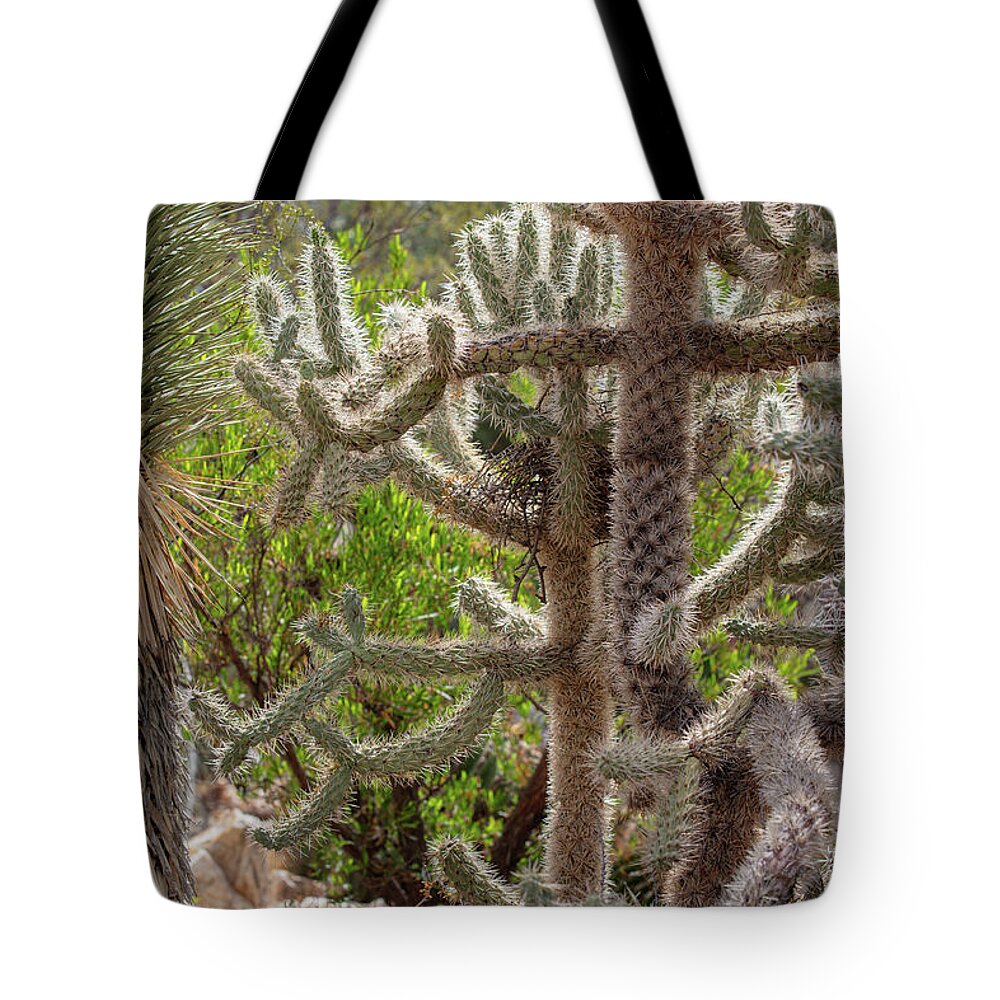 Cacti II - Tote Bag