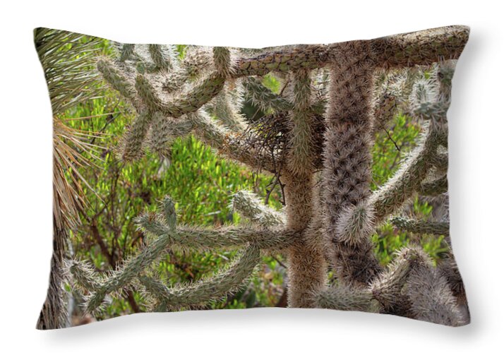 Cacti II - Throw Pillow