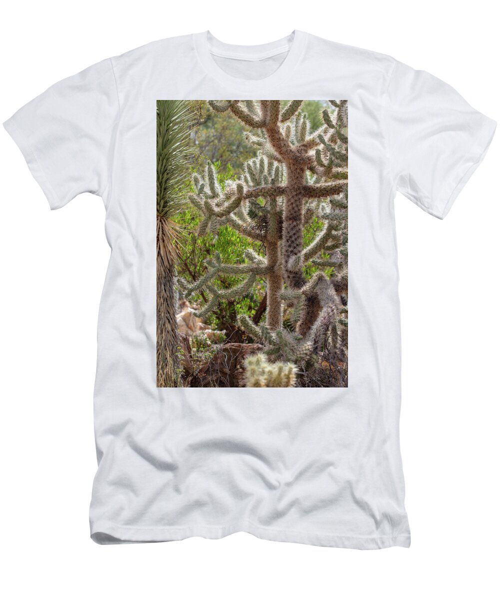 Cacti II - T-Shirt