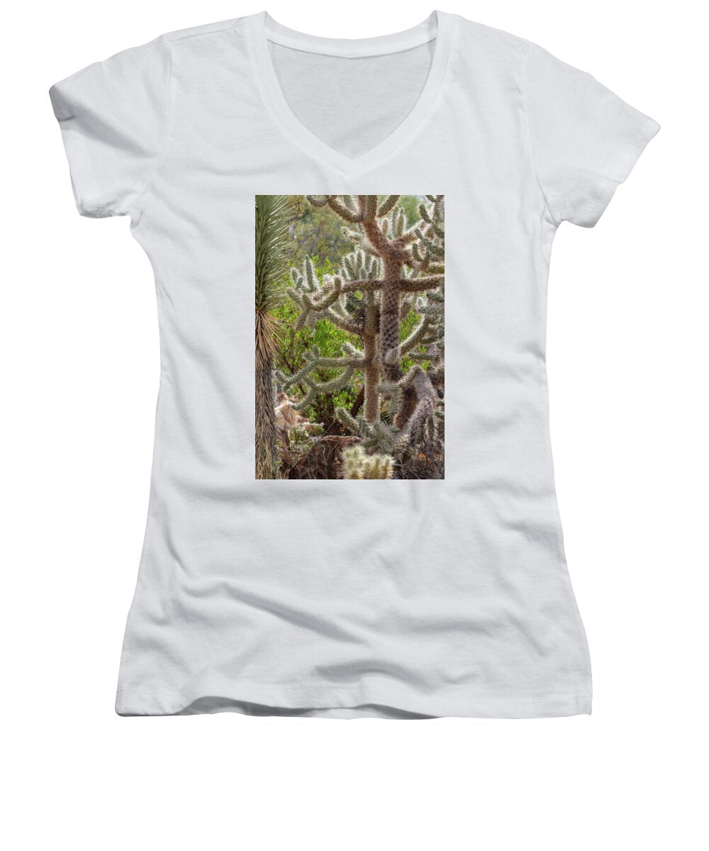 Cacti II - Women's V-Neck