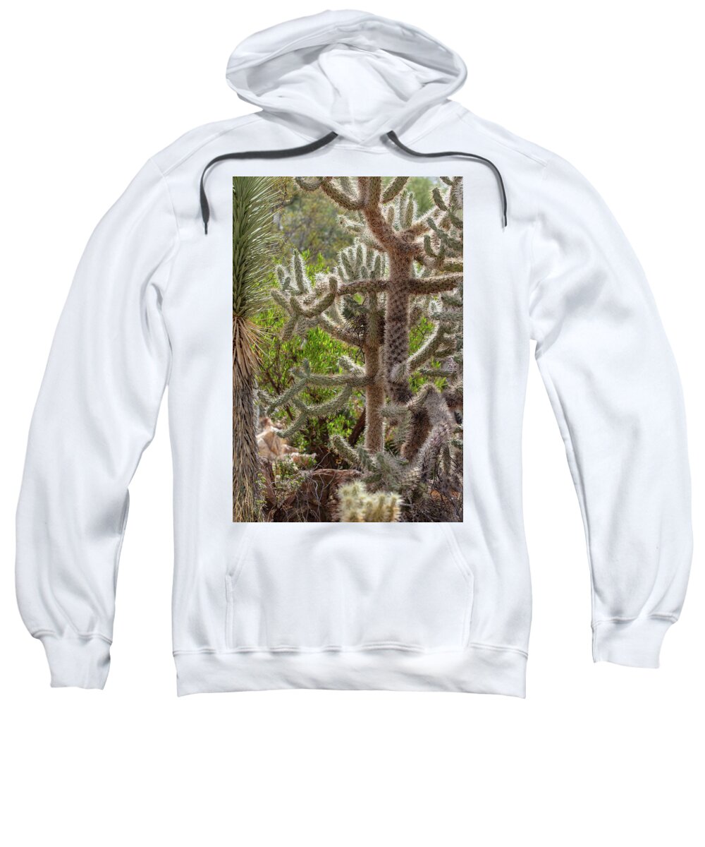Cacti II - Sweatshirt