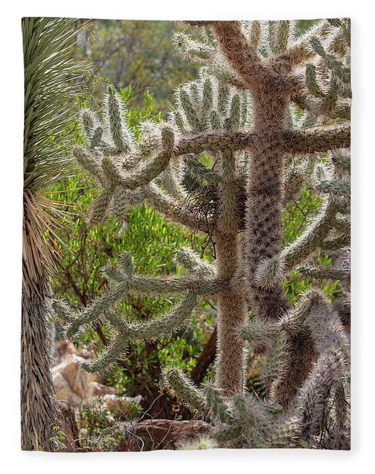 Cacti II - Blanket