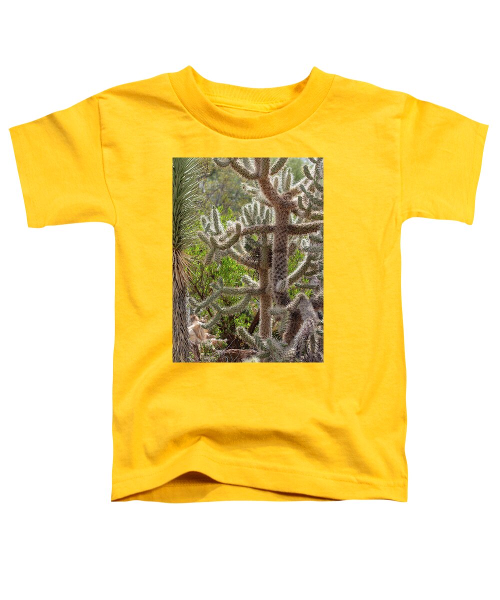 Cacti II - Toddler T-Shirt