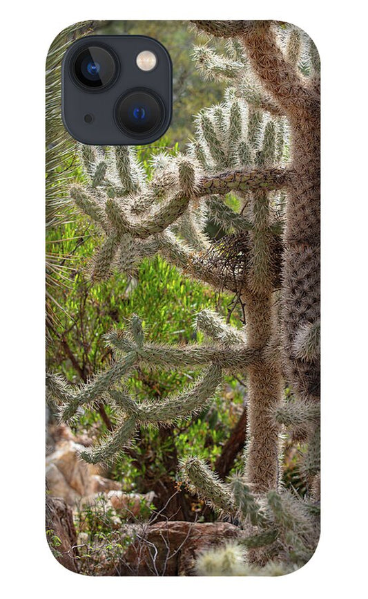 Cacti II - Phone Case