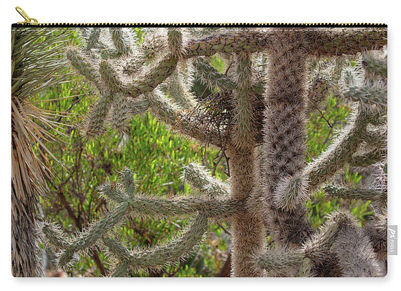 Cacti II - Zip Pouch