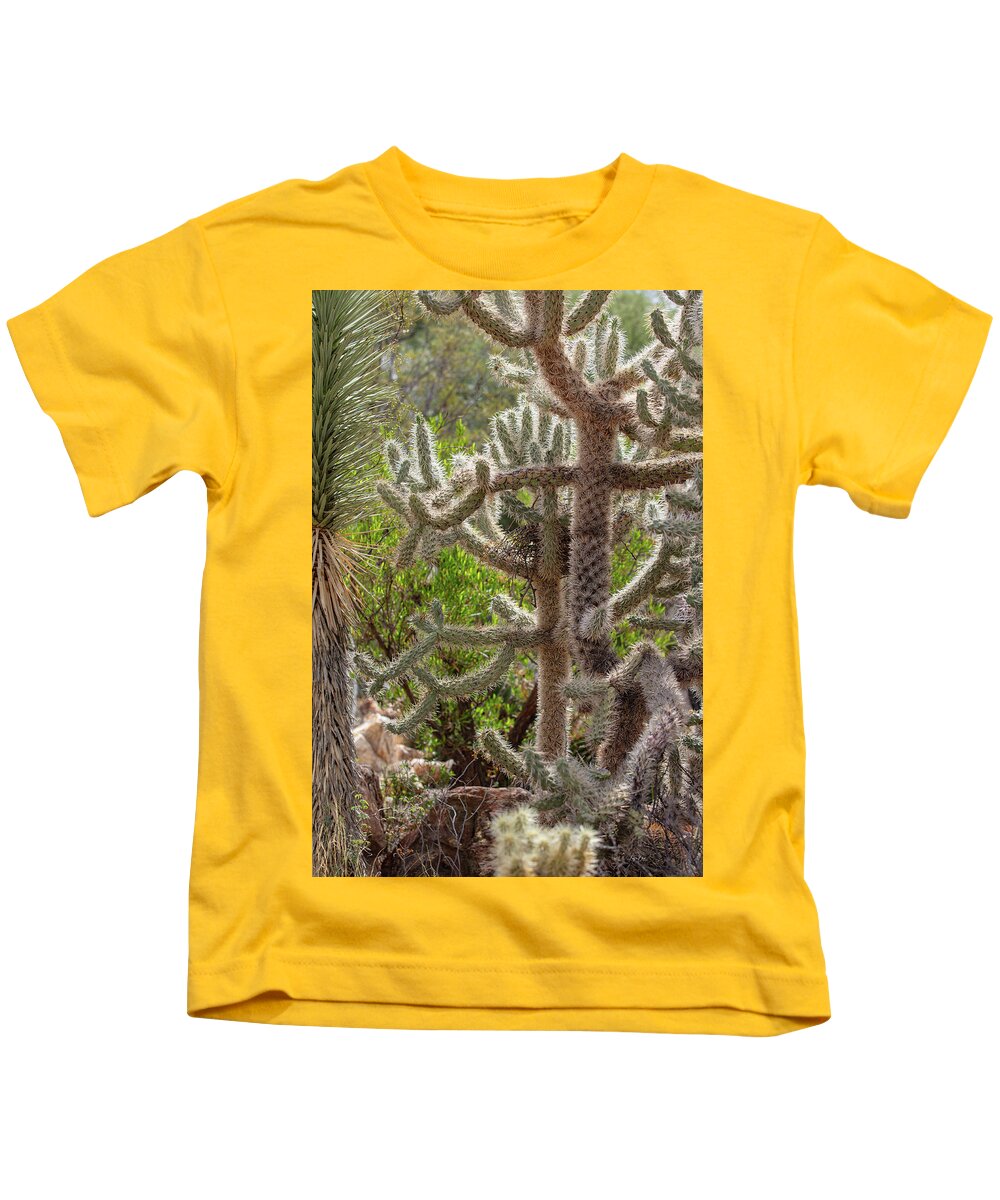 Cacti II - Kids T-Shirt