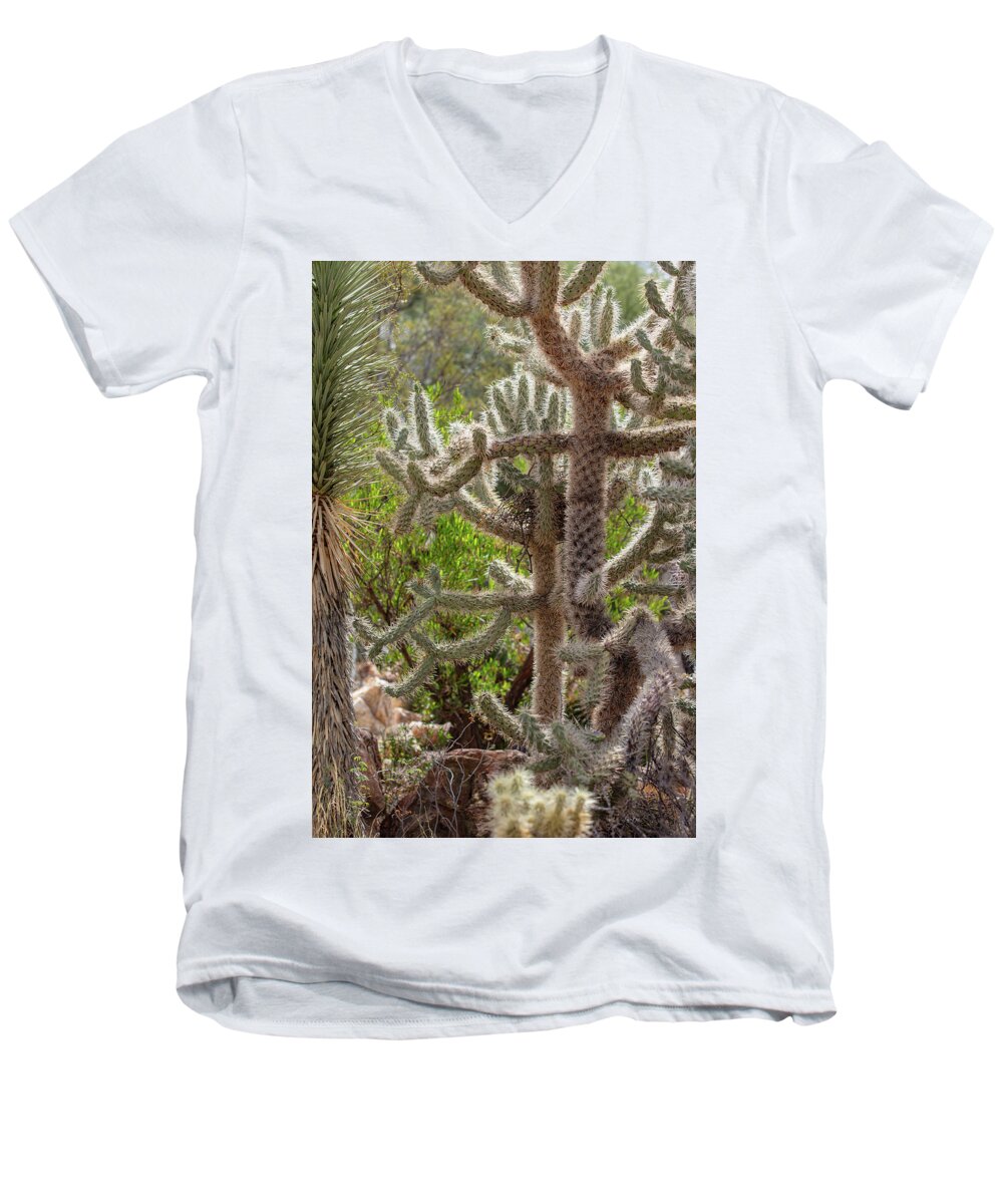 Cacti II - Men's V-Neck T-Shirt