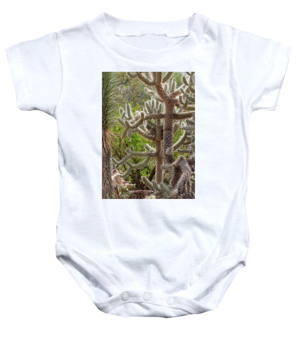 Cacti II - Baby Onesie