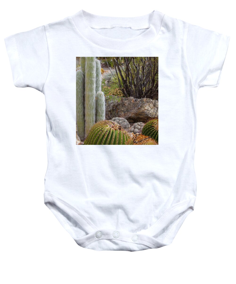 Cacti III Closeup - Baby Onesie