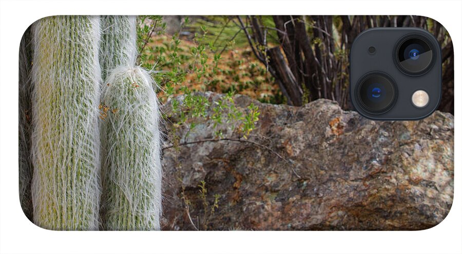 Cacti III Closeup - Phone Case