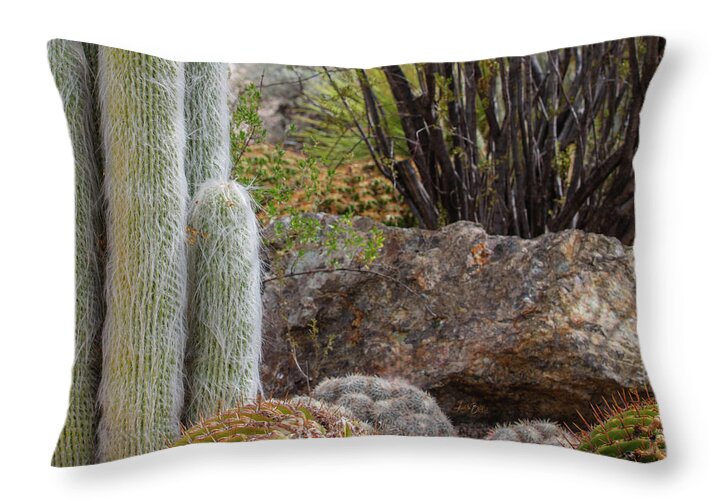 Cacti III Closeup - Throw Pillow