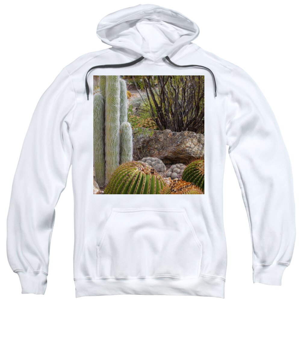 Cacti III Closeup - Sweatshirt