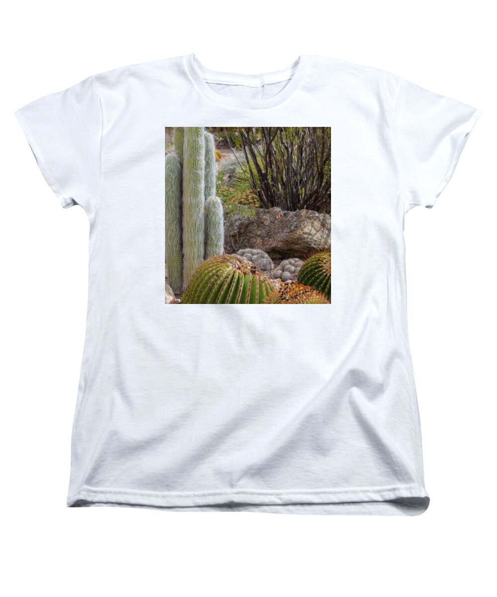 Cacti III Closeup - Women's T-Shirt (Standard Fit)