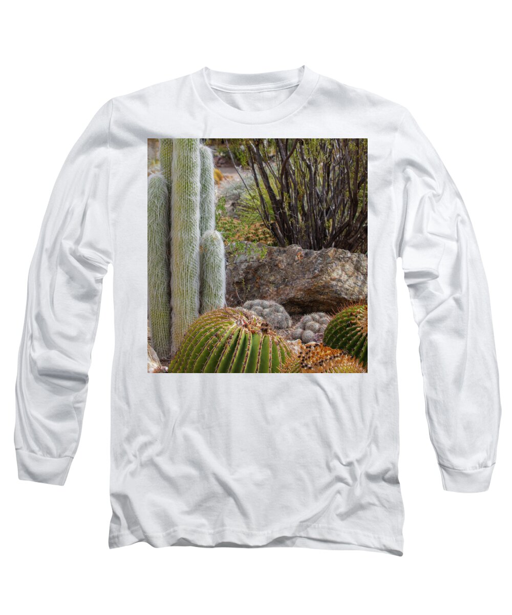 Cacti III Closeup - Long Sleeve T-Shirt