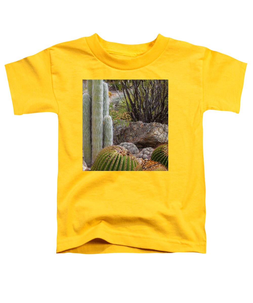 Cacti III Closeup - Toddler T-Shirt