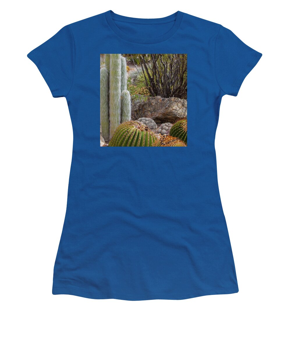 Cacti III Closeup - Women's T-Shirt