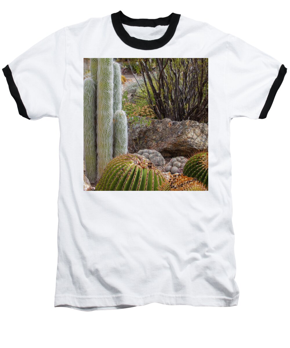 Cacti III Closeup - Baseball T-Shirt